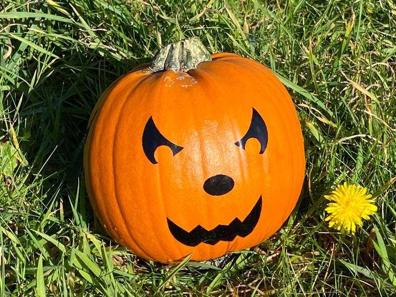 Pumpkin Face Stickers